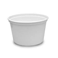 Pint (16oz) Plastic Ice Cream Container